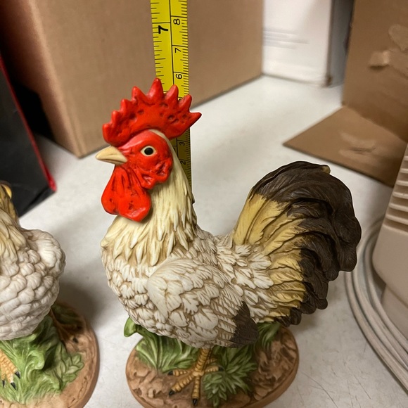 Chicken/rooster - Picture 5 of 6